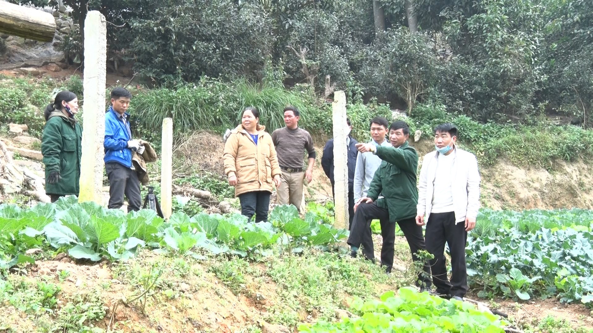 Lãnh đạo Trưởng Ban tổ chức Huyện uỷ thăm mô hình phát triển kinh tế tại xã Ngàm Đăng Vài