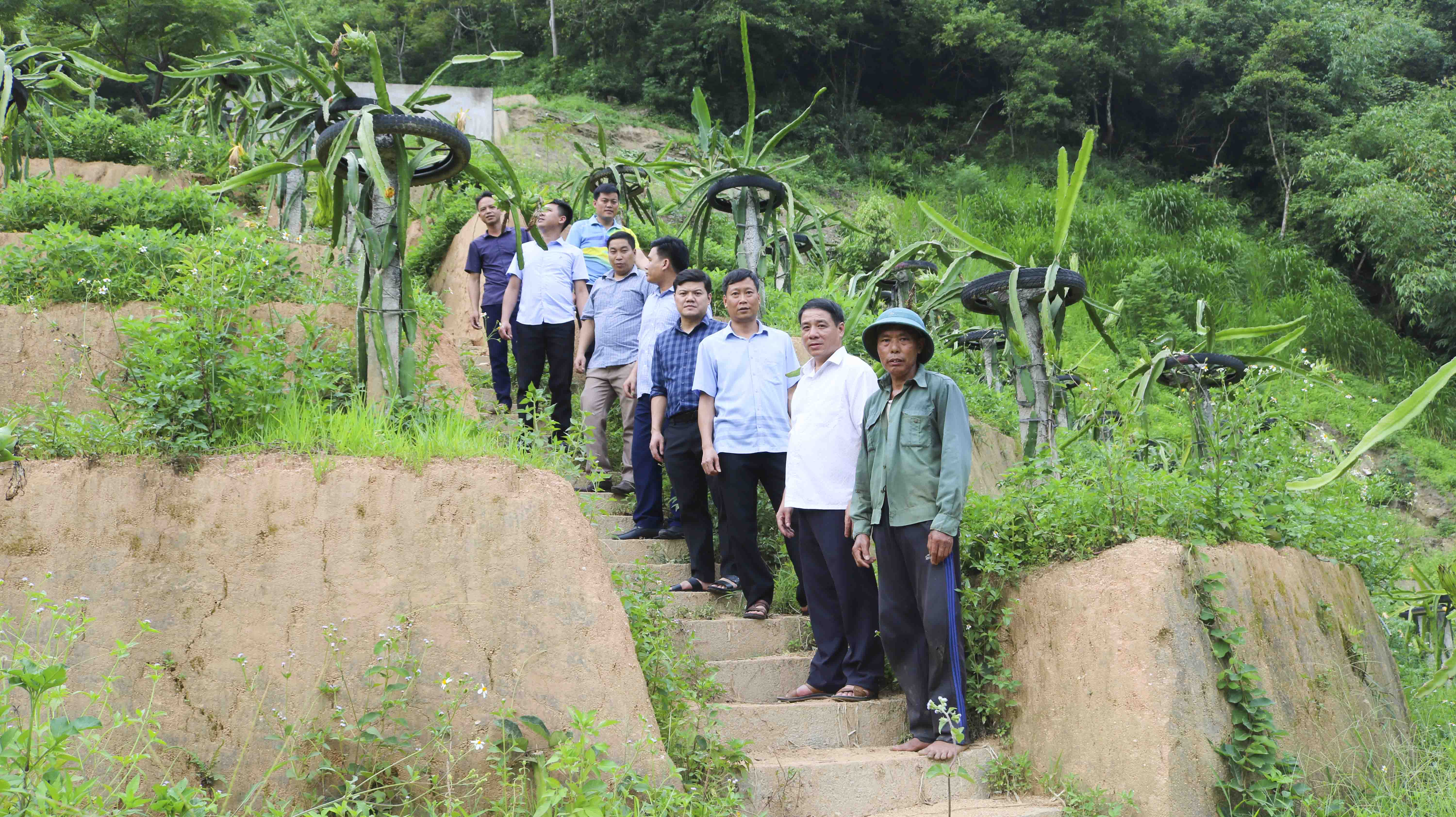 Các thành viên đoàn giám sát của Ban thường vụ tỉnh ủy thăm mô hình cải tạo vườn tạp tại huyện Hoàng Su Phì
