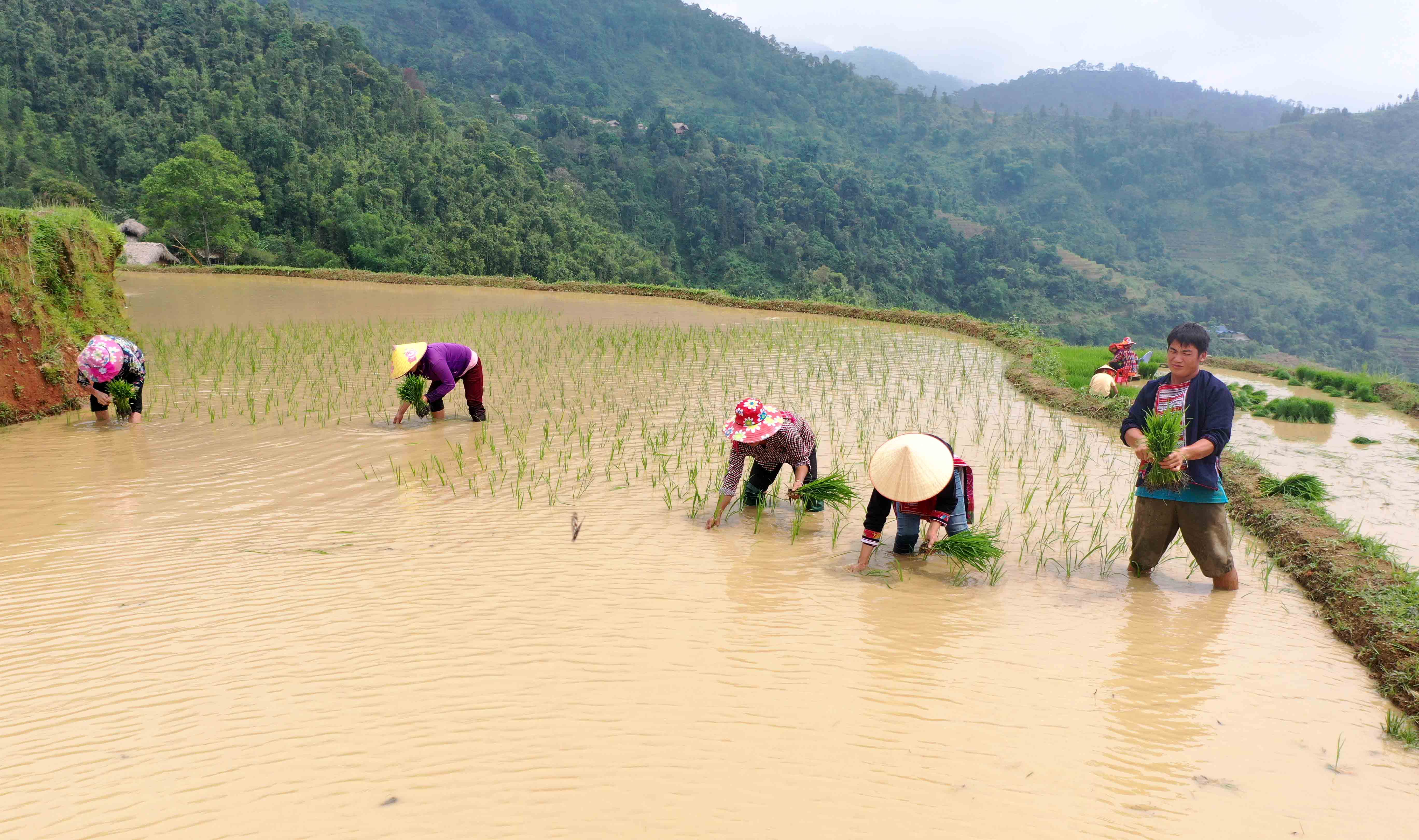 Huyện Hoàng Su Phì nỗ lực giảm nghèo bền vững