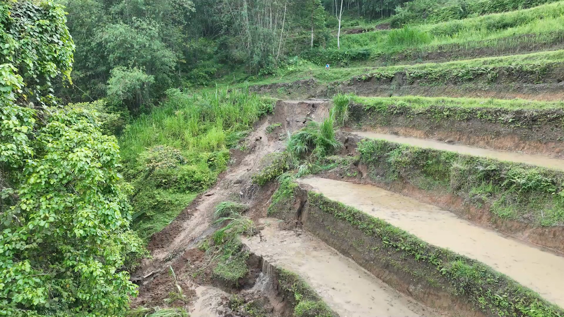 Xuất hiện vết nứt trên đồi dài hơn 50m ở xã Thông Nguyên
